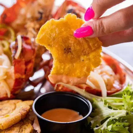 Frito mojado en salsa